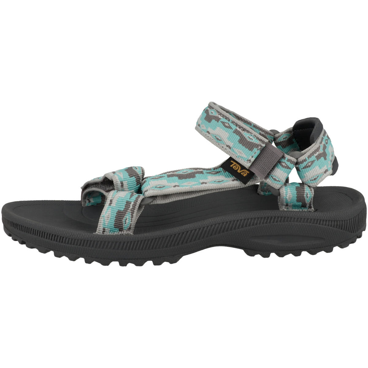 TEVA picture