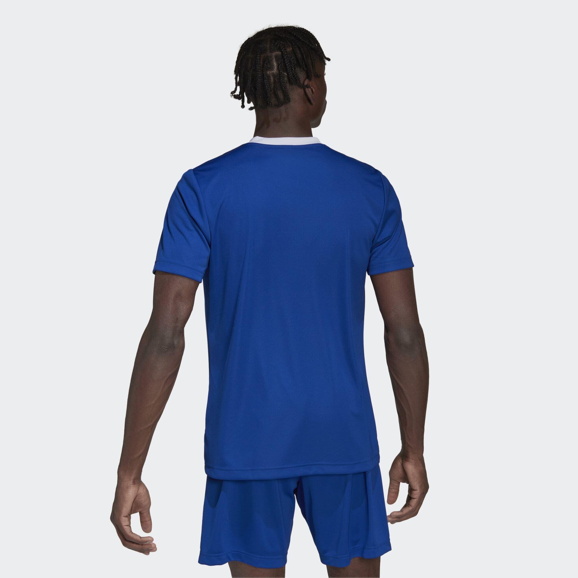 Maglia Entrada 22 3/6