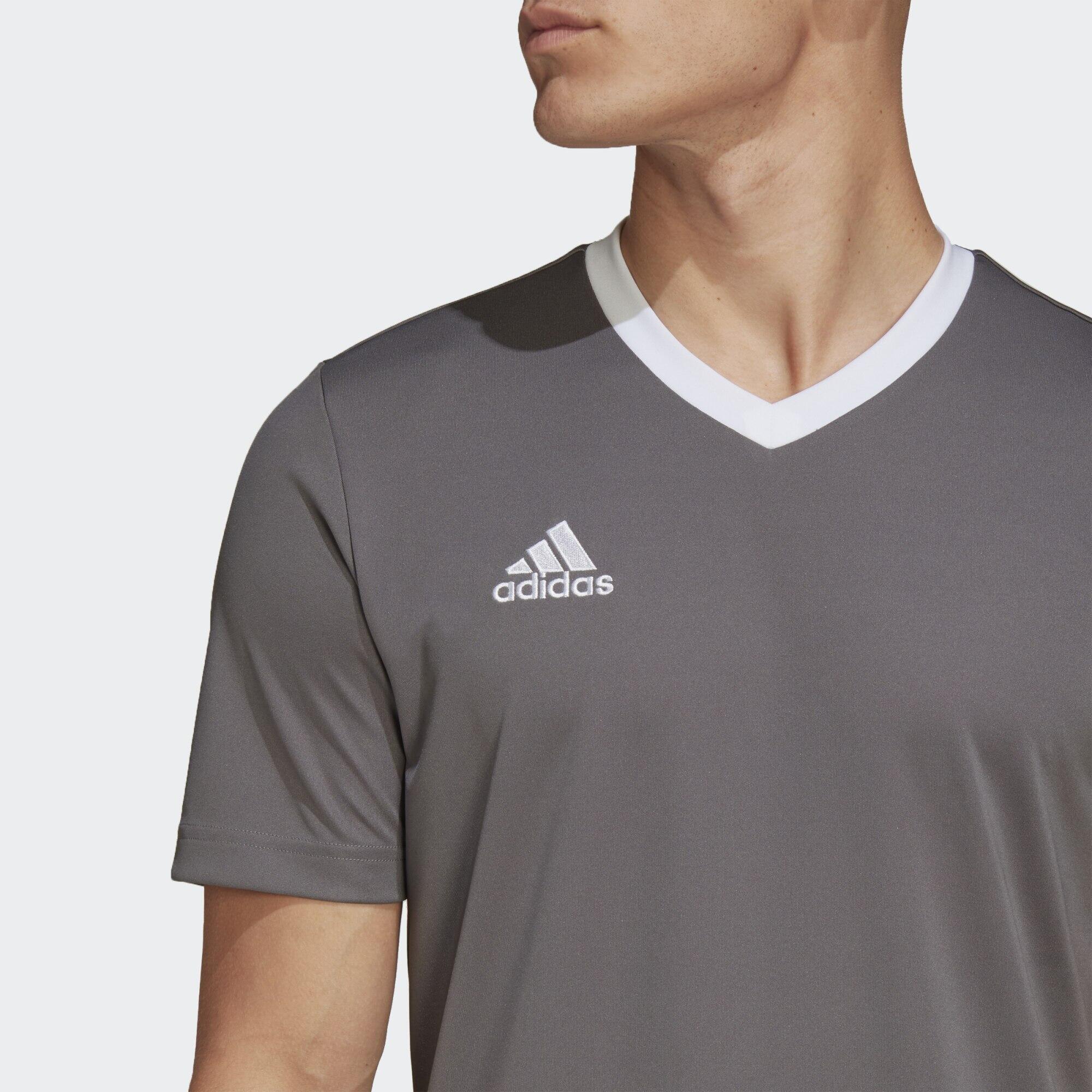 Camiseta Entrada 22 4/6