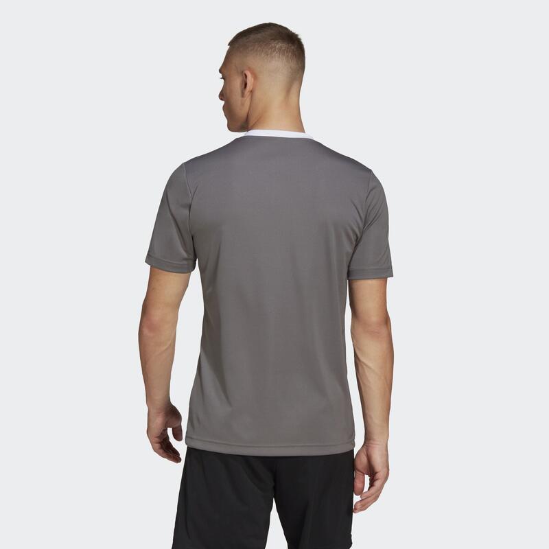 Tricou Fitness ADIDAS Entrada Albastru Bărbați