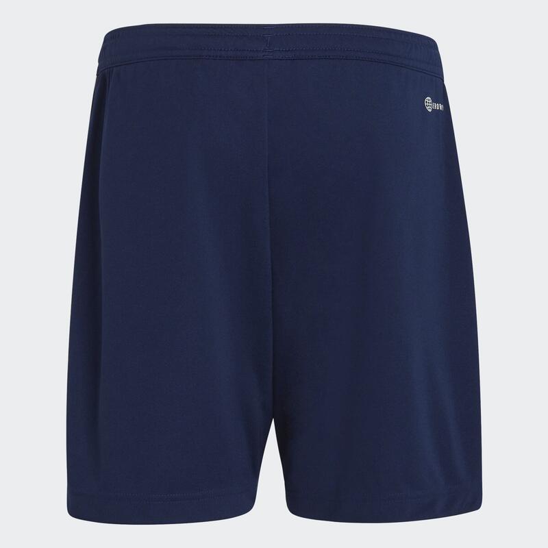 Entrada 22 Training Shorts