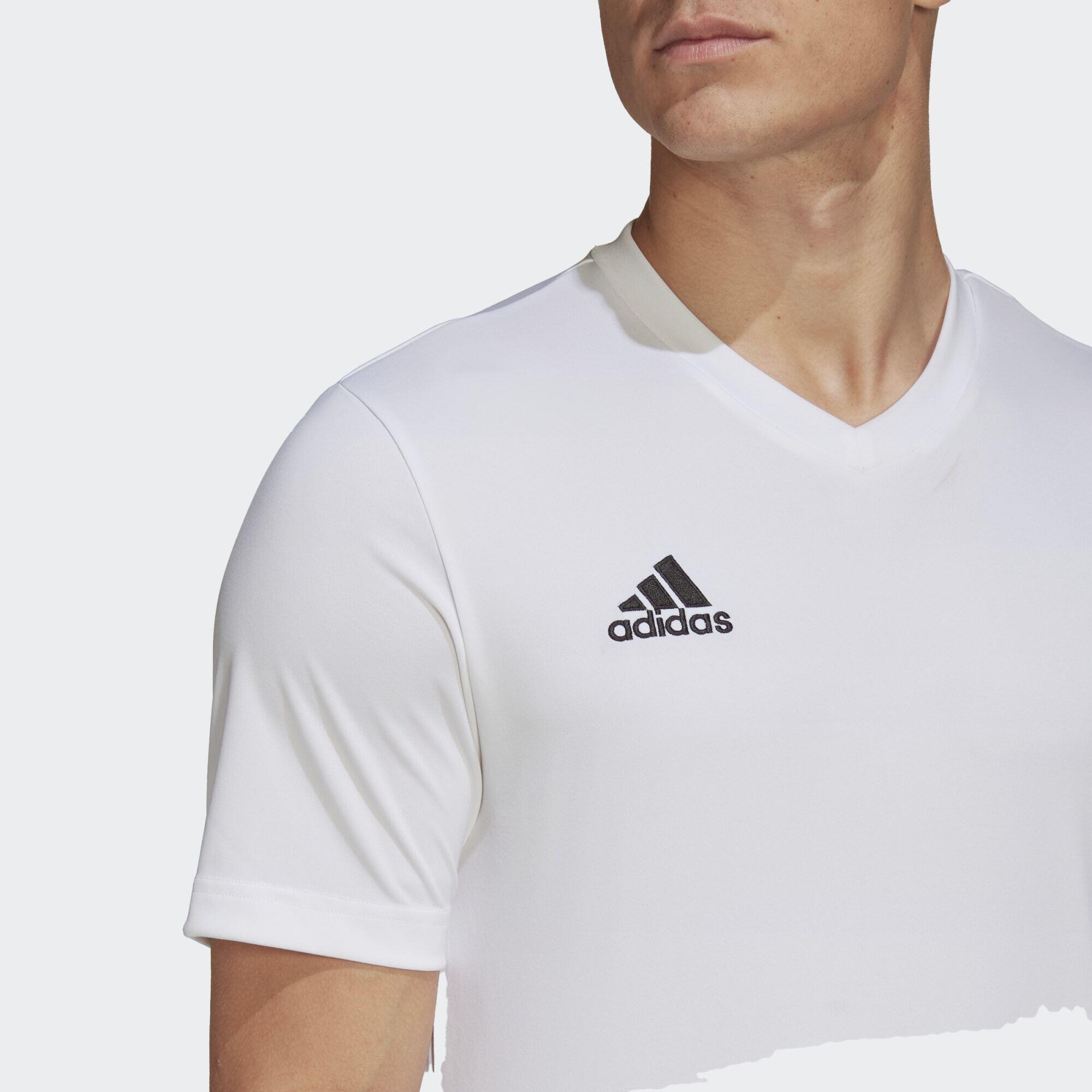 Maglia Entrada 22 4/6