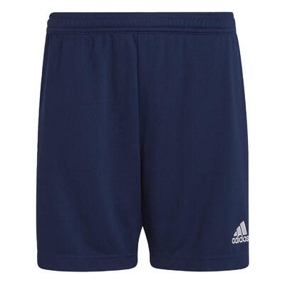 Kinder Fußball Shorts - Entrada 22, grau