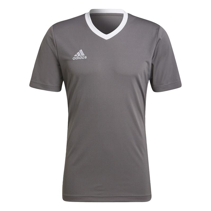 Tricou Fitness ADIDAS Entrada Albastru Bărbați