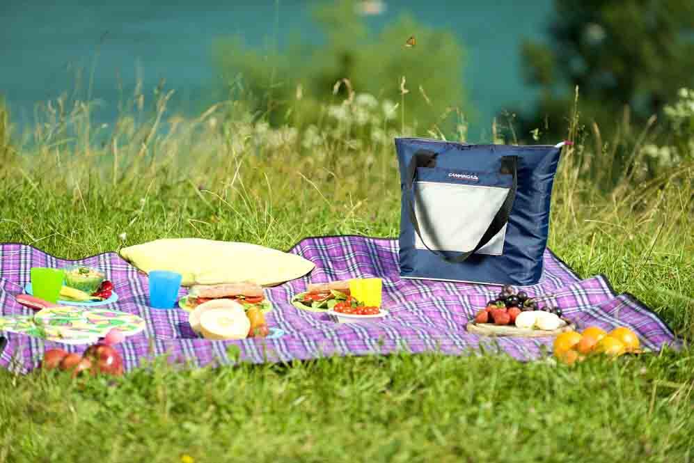 Campingaz transport le sac de refroidisseur de sacs 4/5