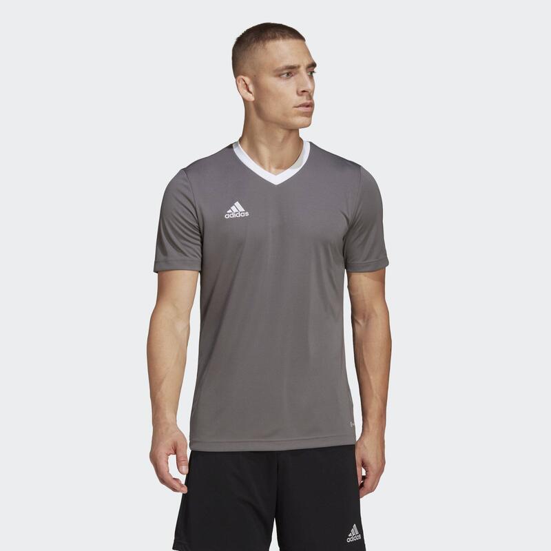 Tricou Fitness ADIDAS Entrada Albastru Bărbați