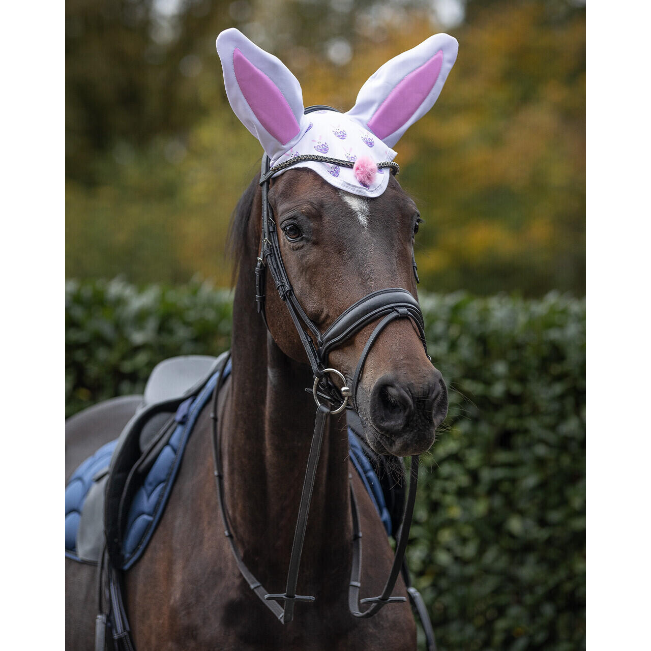 court horse cap QHP Easter 2/3