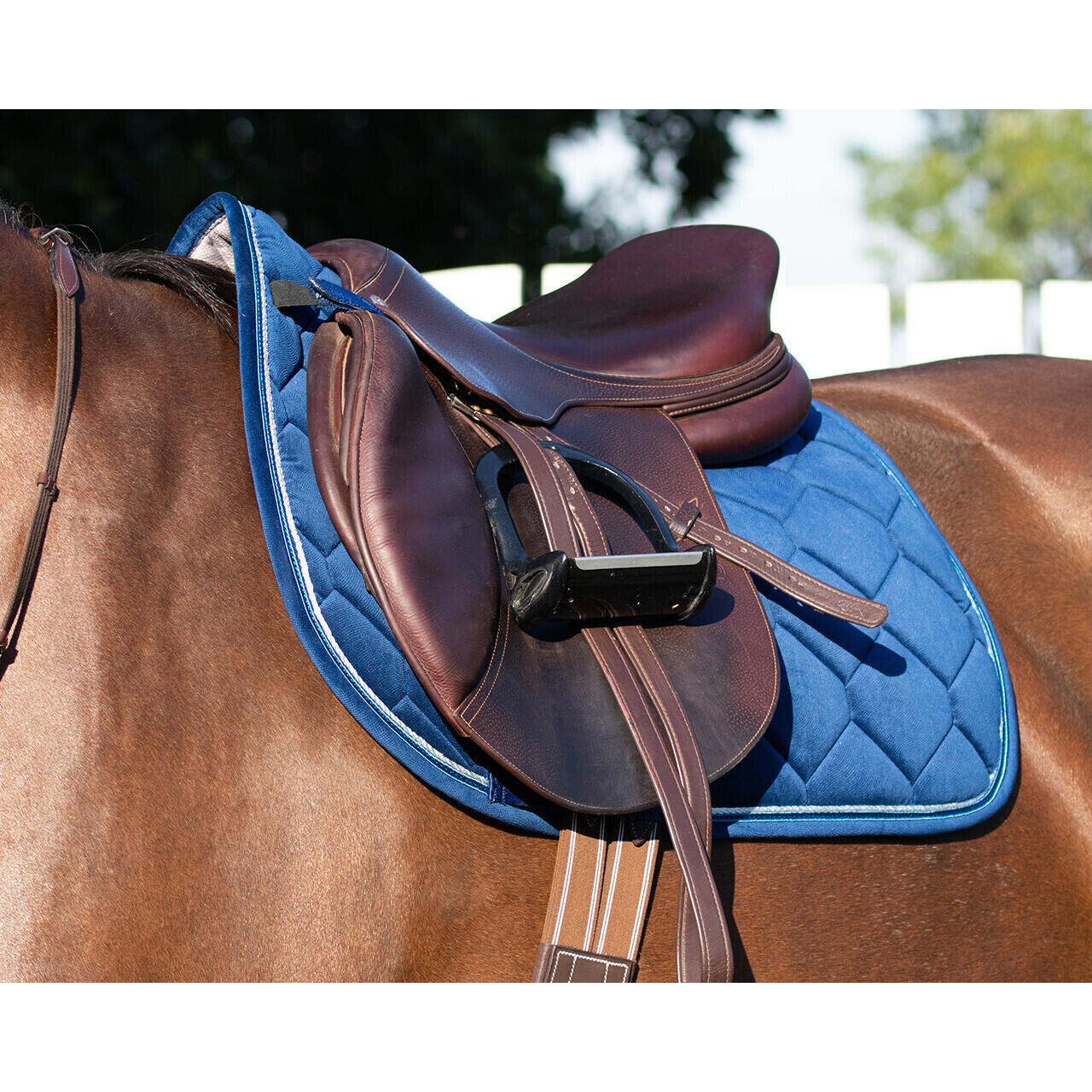 Extra strong horse stirrups QHP