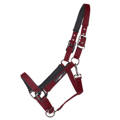 Halster voor paarden qhp deluxe