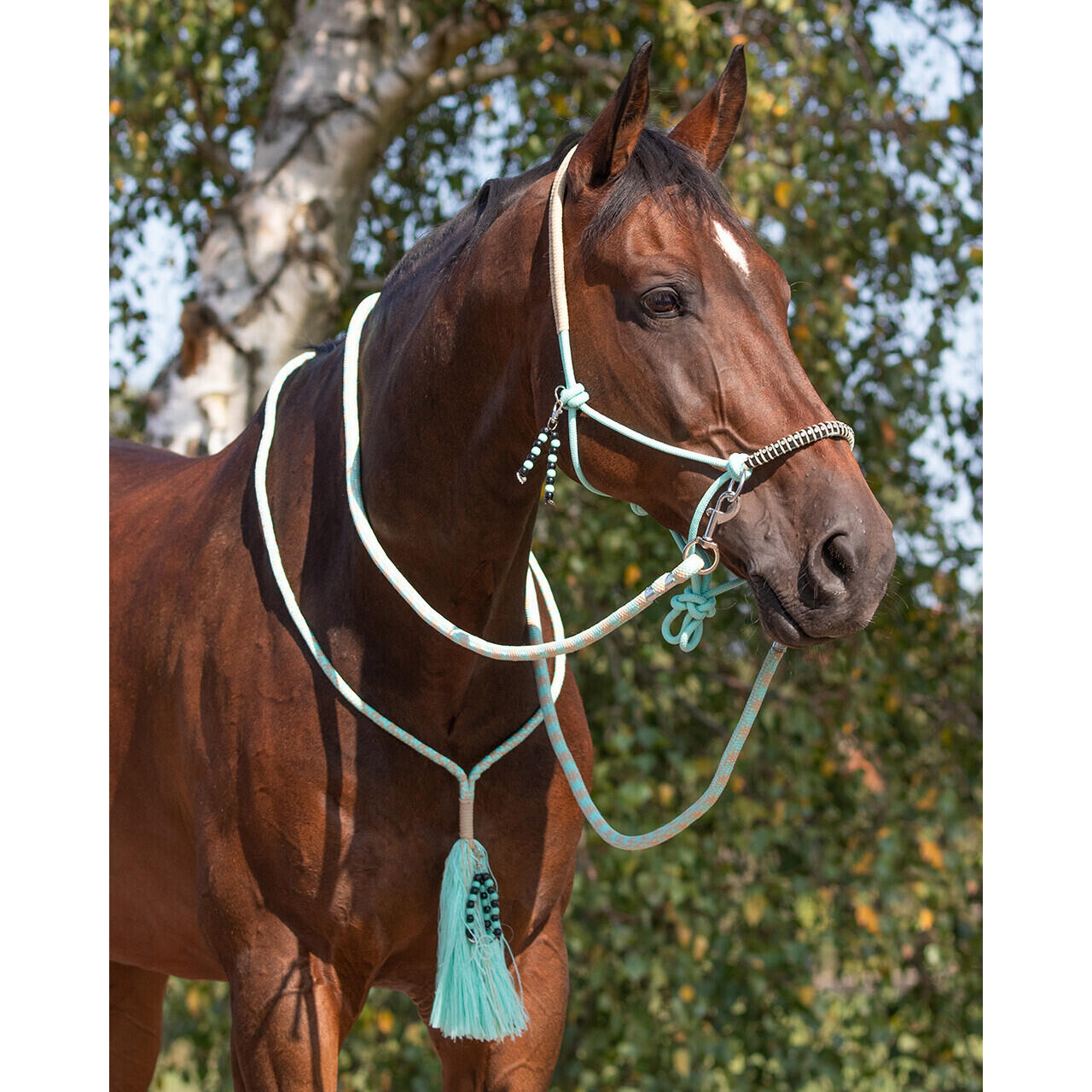 Touwhalster voor paarden QHP Combi Liberty 4/4