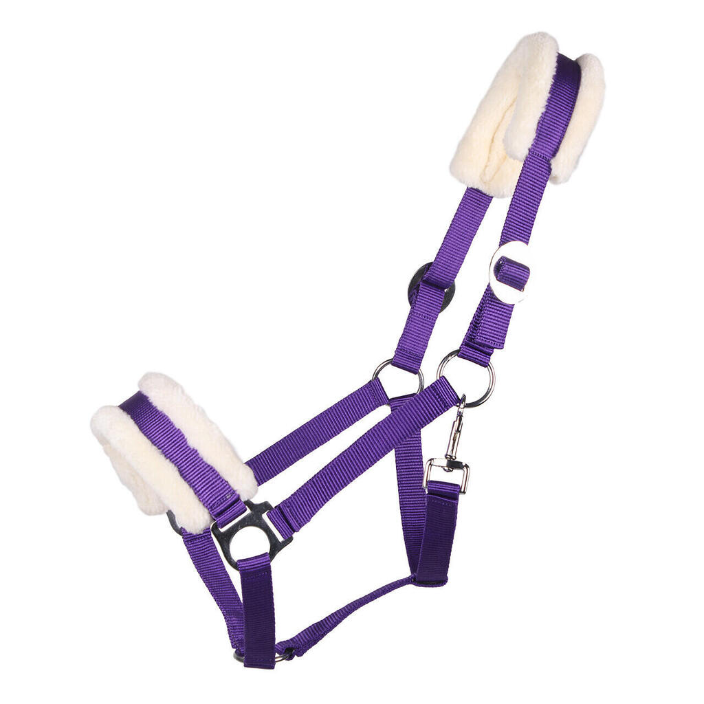 Halter for horse Q-essentials Cali