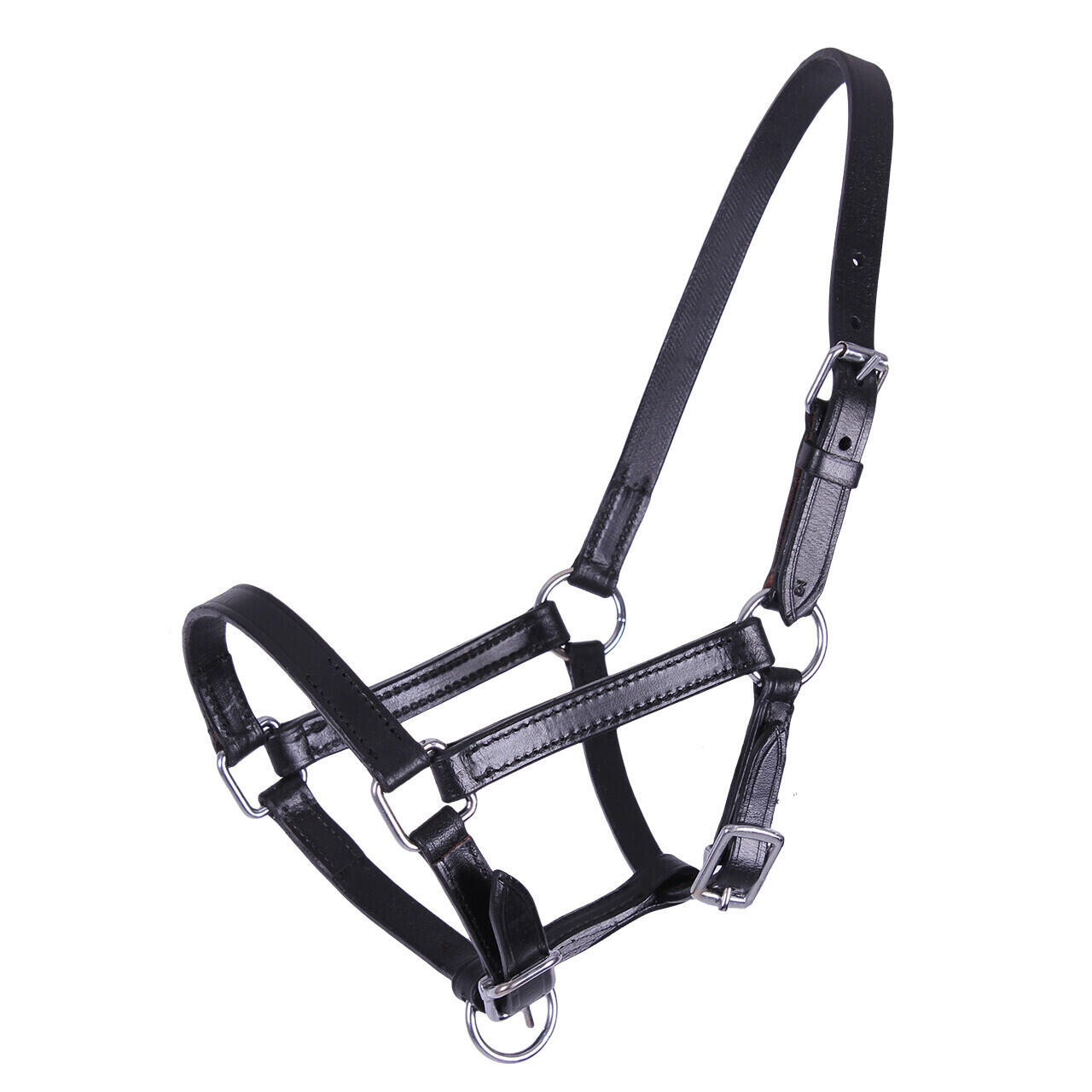 EQUIPAGE Leren halster voor veulen Q-essentials Chico