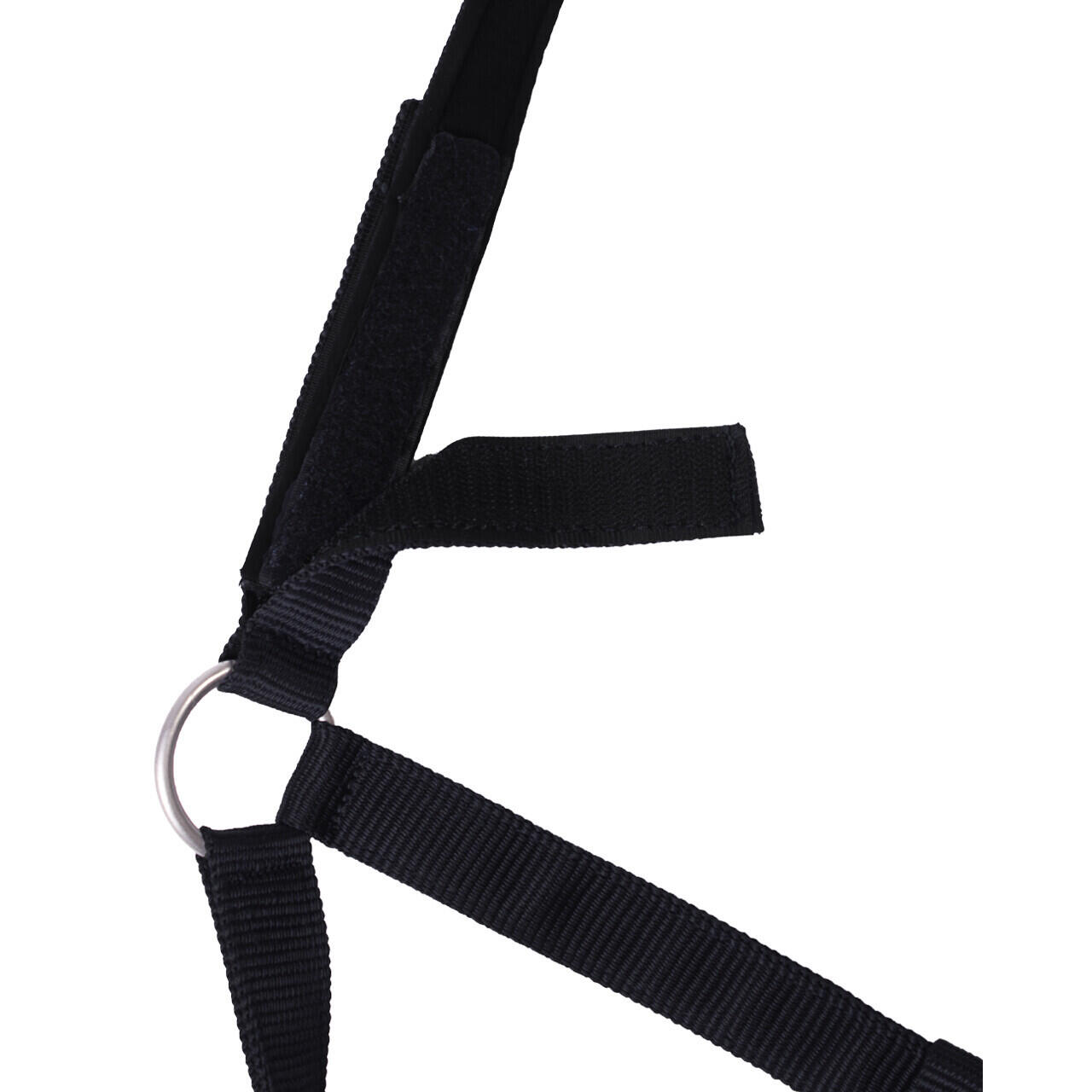 Licol pour cheval de sécurité doublé QHP 2/2