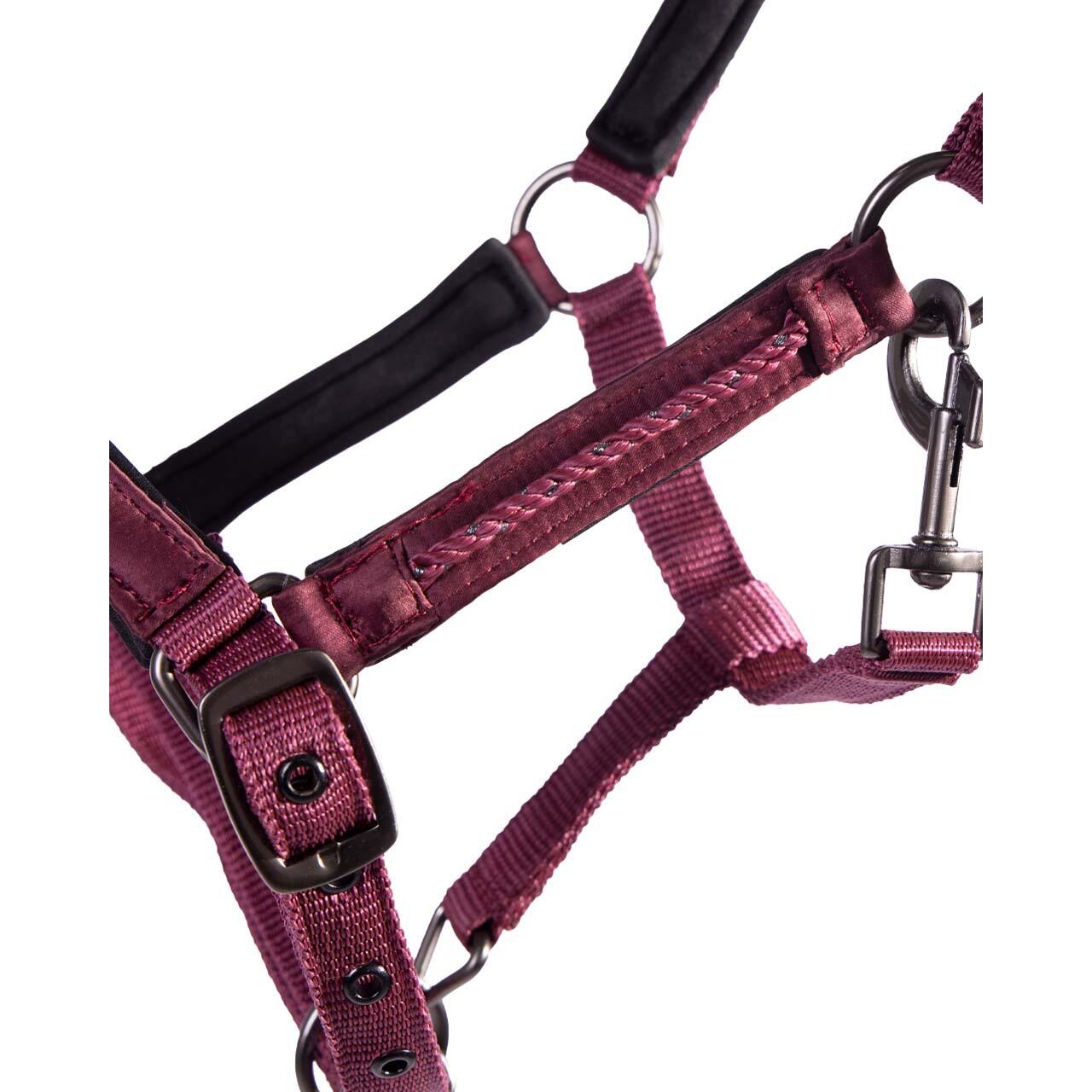 Cavezza per puledro QHP Lily 2/4