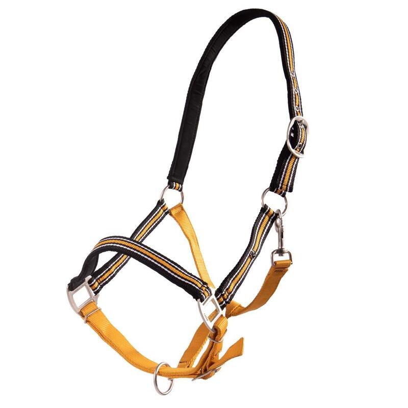 Halter QHP Flore