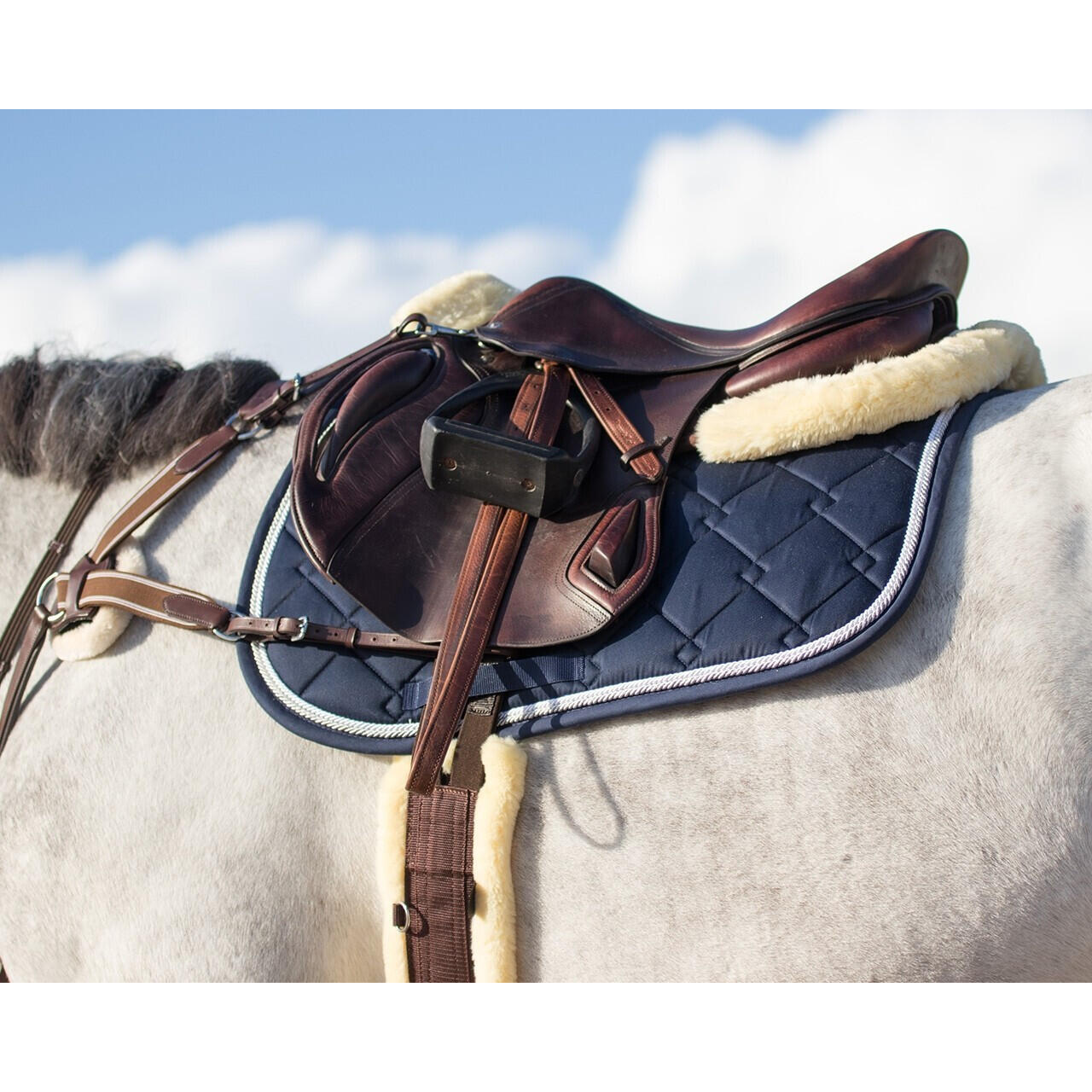 Sangle pour cheval QHP Ontario 3/3