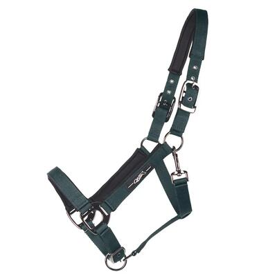 Halster voor paarden qhp deluxe