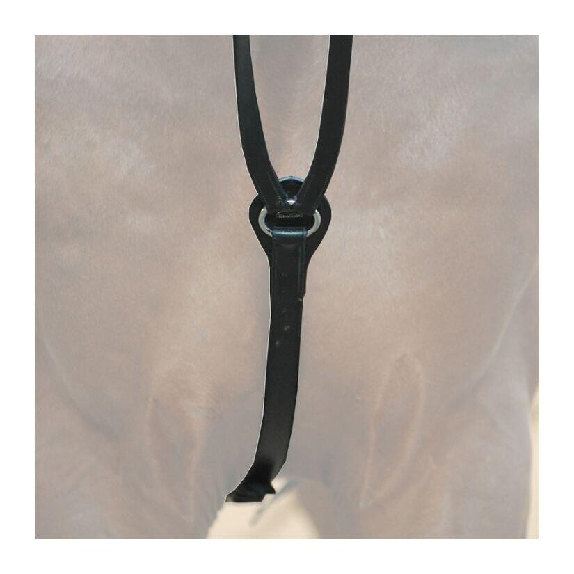 Fixed triangular headers Kavalkade 3/3