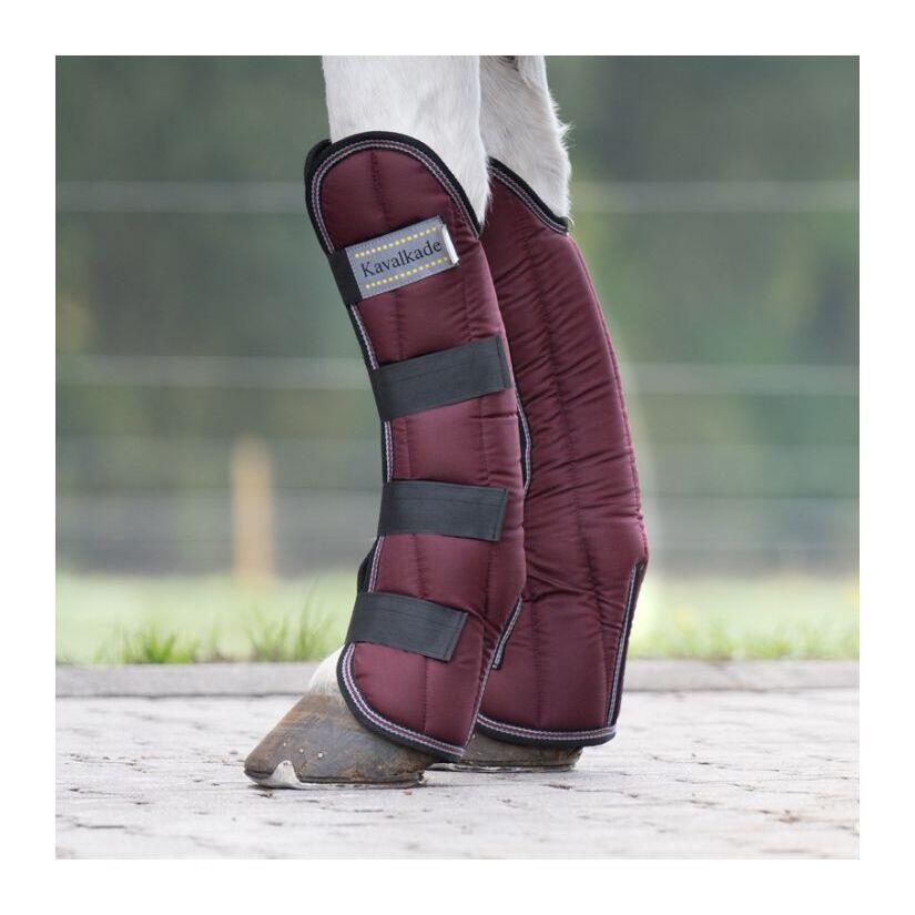 Protectores de transporte para caballo  Kavalkade 4/4