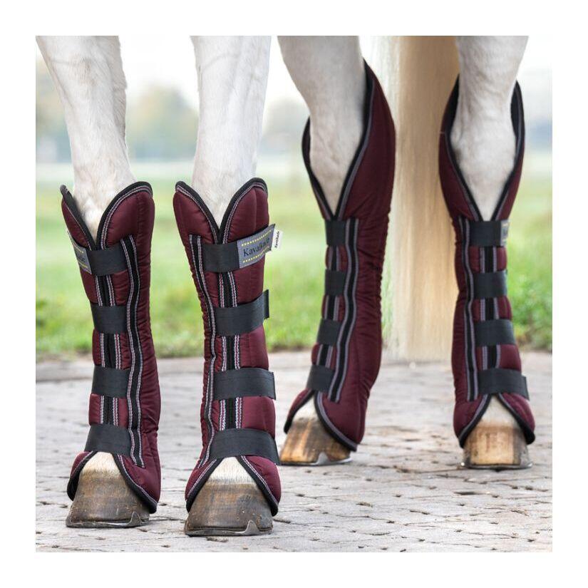 Protectores de transporte para caballo  Kavalkade 2/4