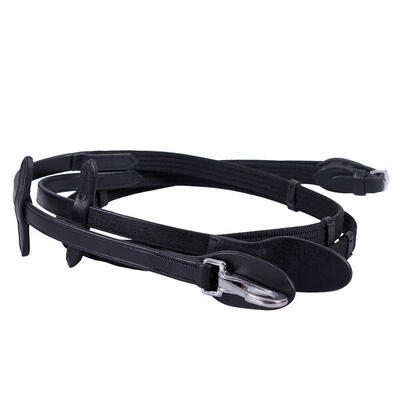 Teugels voor paarden met clip qhp web