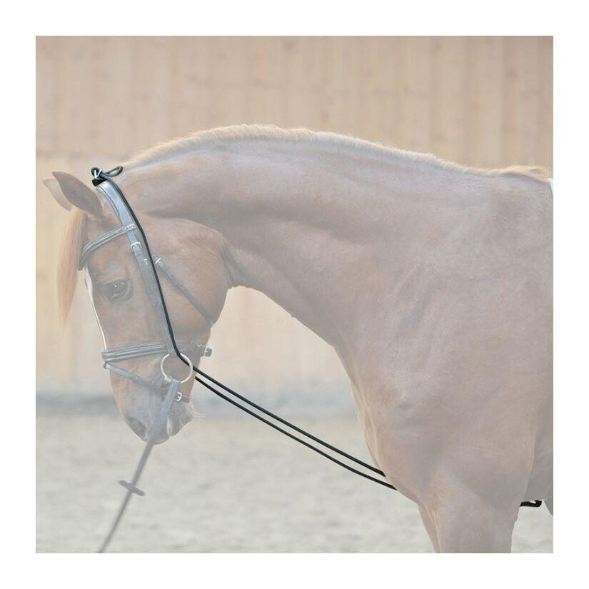Redini fisse elastiche Kavalkade 2/4