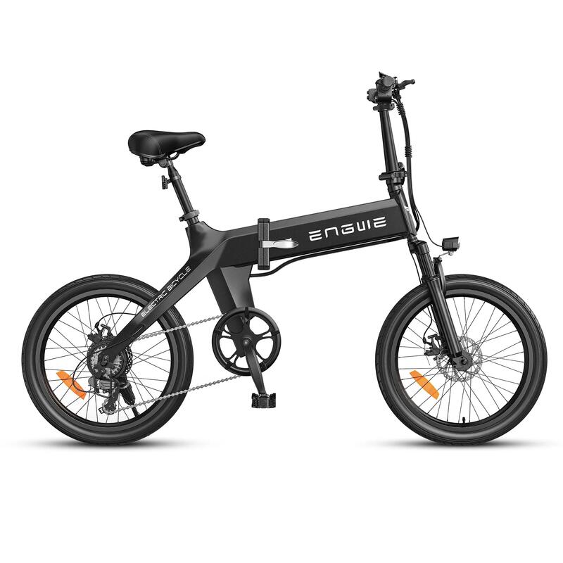 Bicicletta elettrica C20 Pro 250 W, batteria di 15.6 Ah
