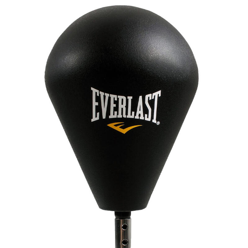 Punching Bag Everlast