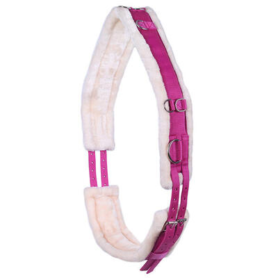 Werkblad qhp ontario