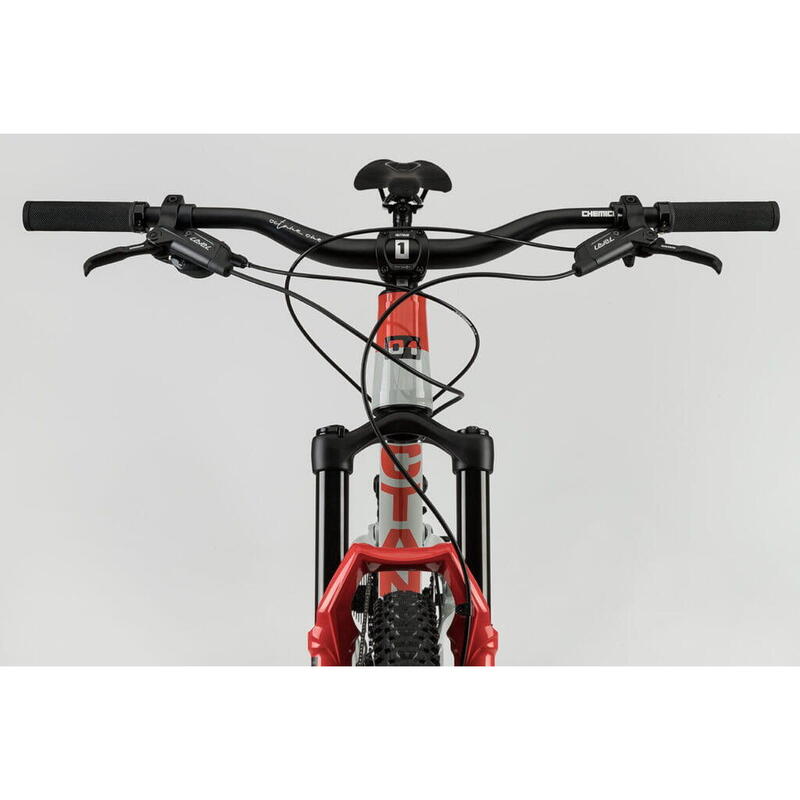 Bicicleta Enduro OMG EVO 29 pulgadas - Trail - Gris/Rojo