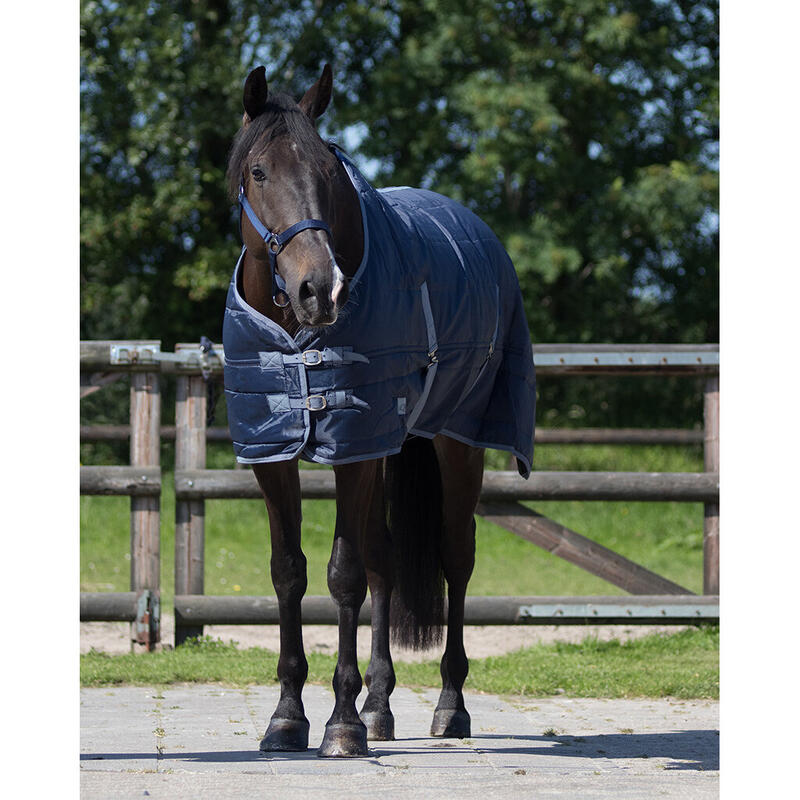 Couverture d'écurie pour cheval Q-essentials Start 150 g