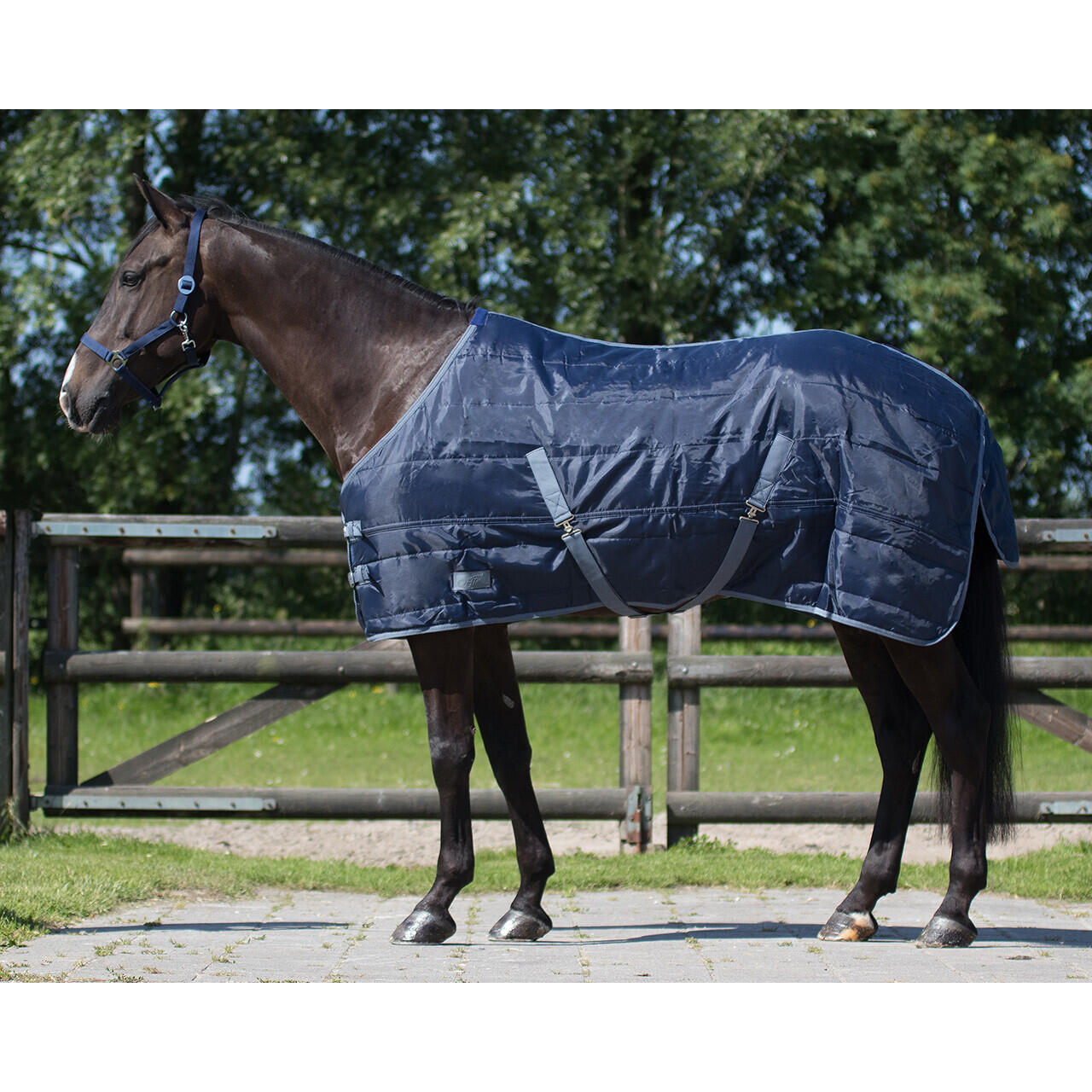 QHP Coperta da box per cavalli Q-essentials Start 150 g