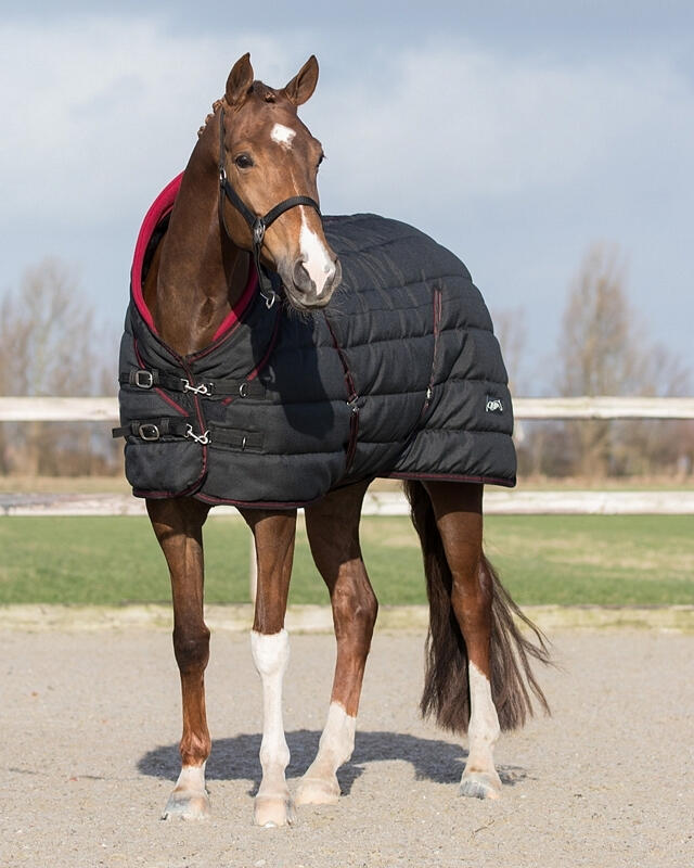 Couverture d'écurie pour cheval QHP Luxury Collection 200g 2/4