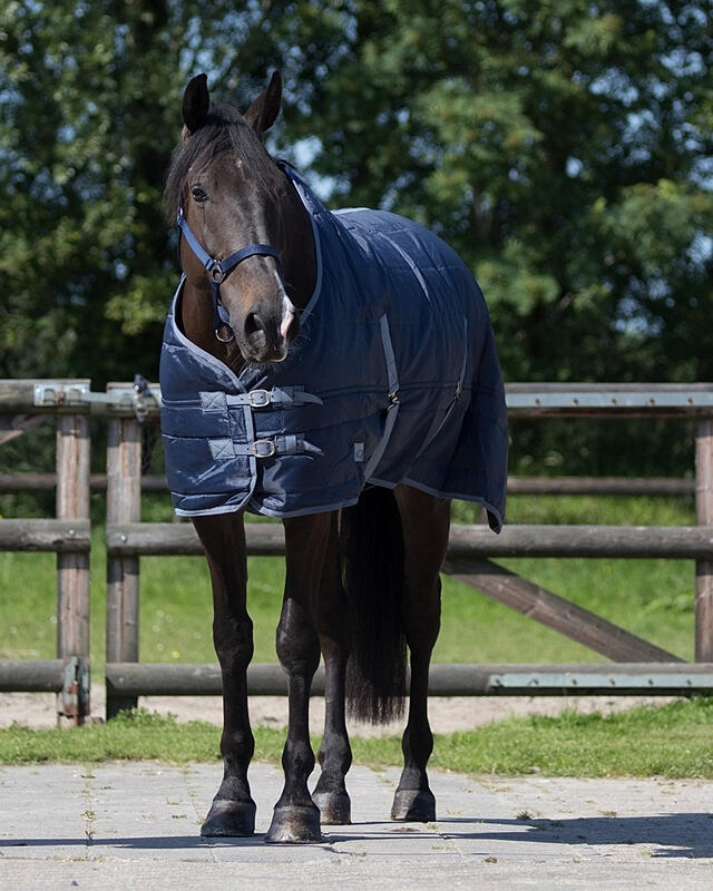Paardendeken Q-essentials Start 150 g 2/3