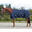 Coperta da esterno per cavalli QHP Luxury 100g