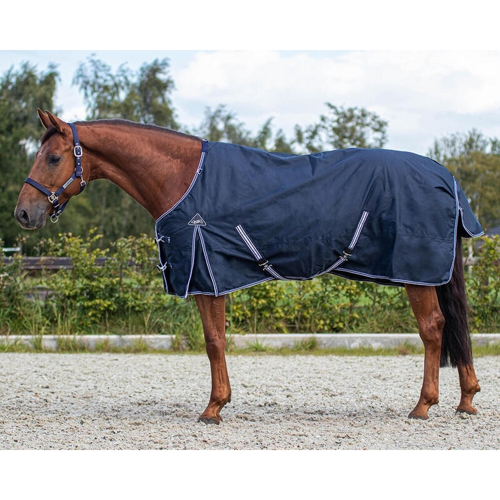 Qhp - Couverture D'Extérieur Pour Cheval Qhp Luxury 0g - Couverture Cheval - Bleu - 185 Cm - Decathlon