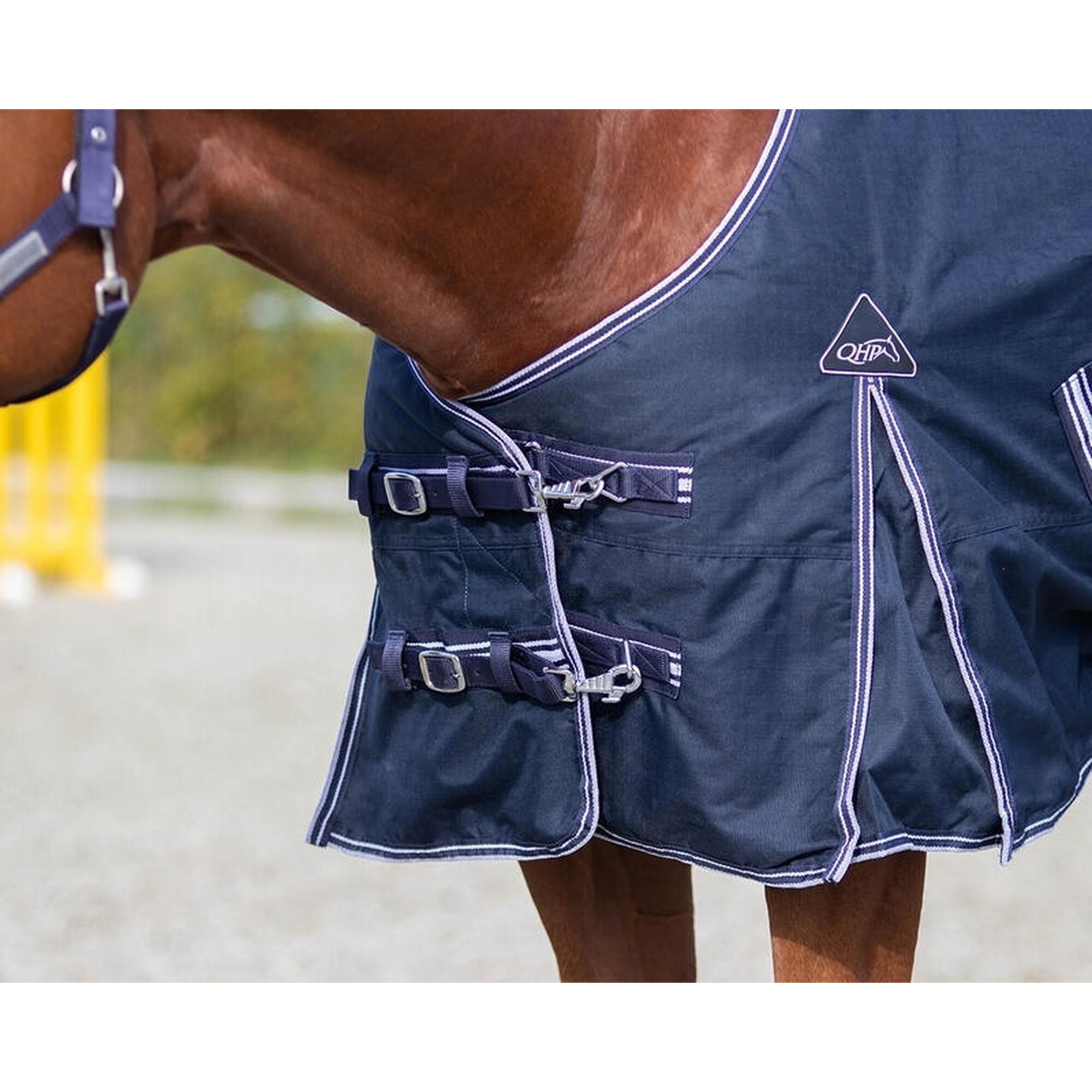 Muserolle cheval avec insert en caoutchouc Equiline - marron - Full