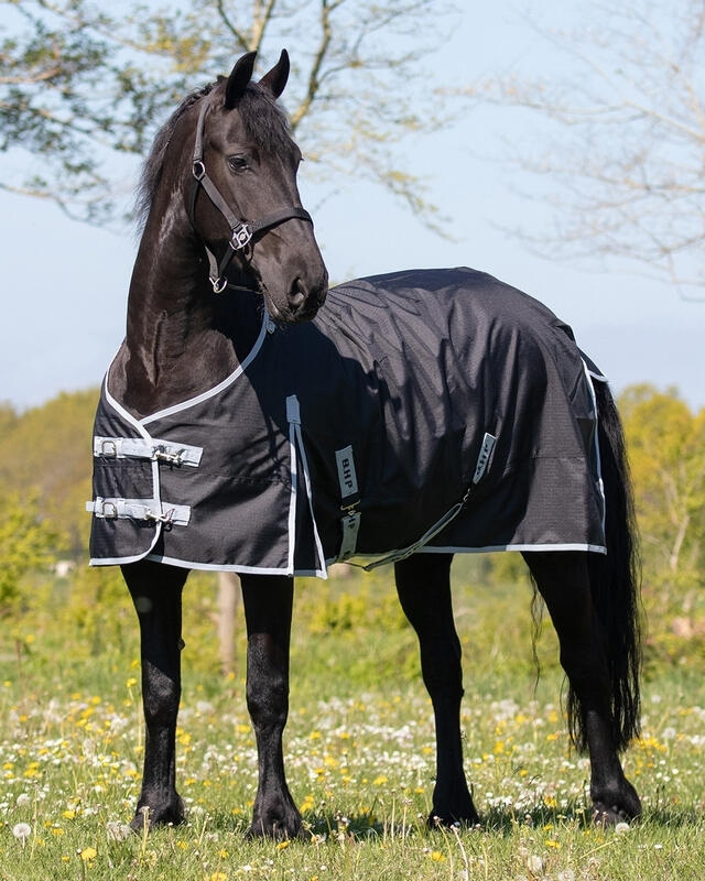 Outdoor-Decke für Pferde mit großem Hals QHP 300g 2/3