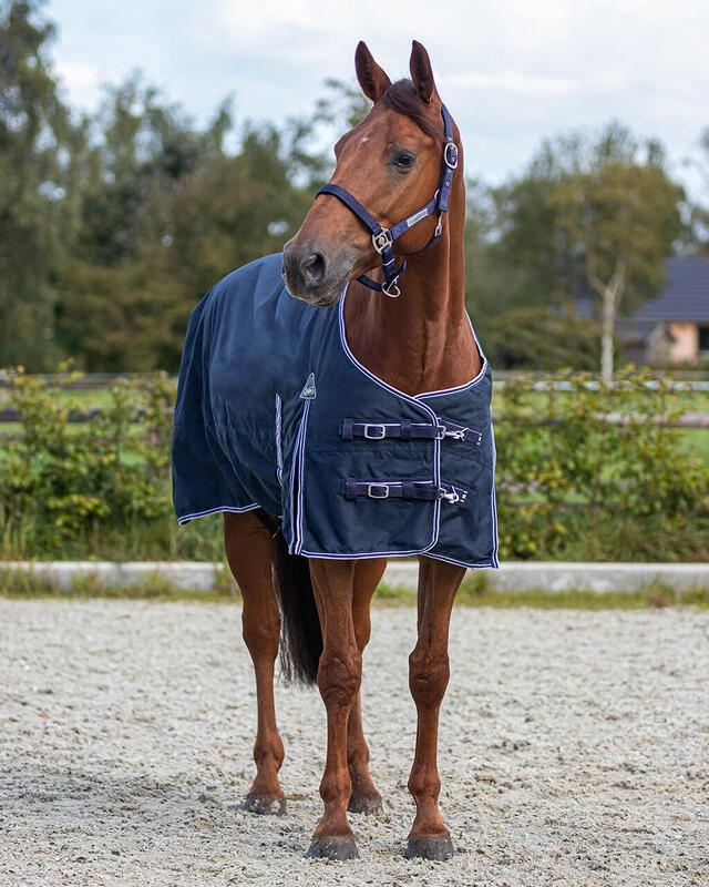 Outdoor-Decke für Pferde aus Fleece QHP Luxury 2/4