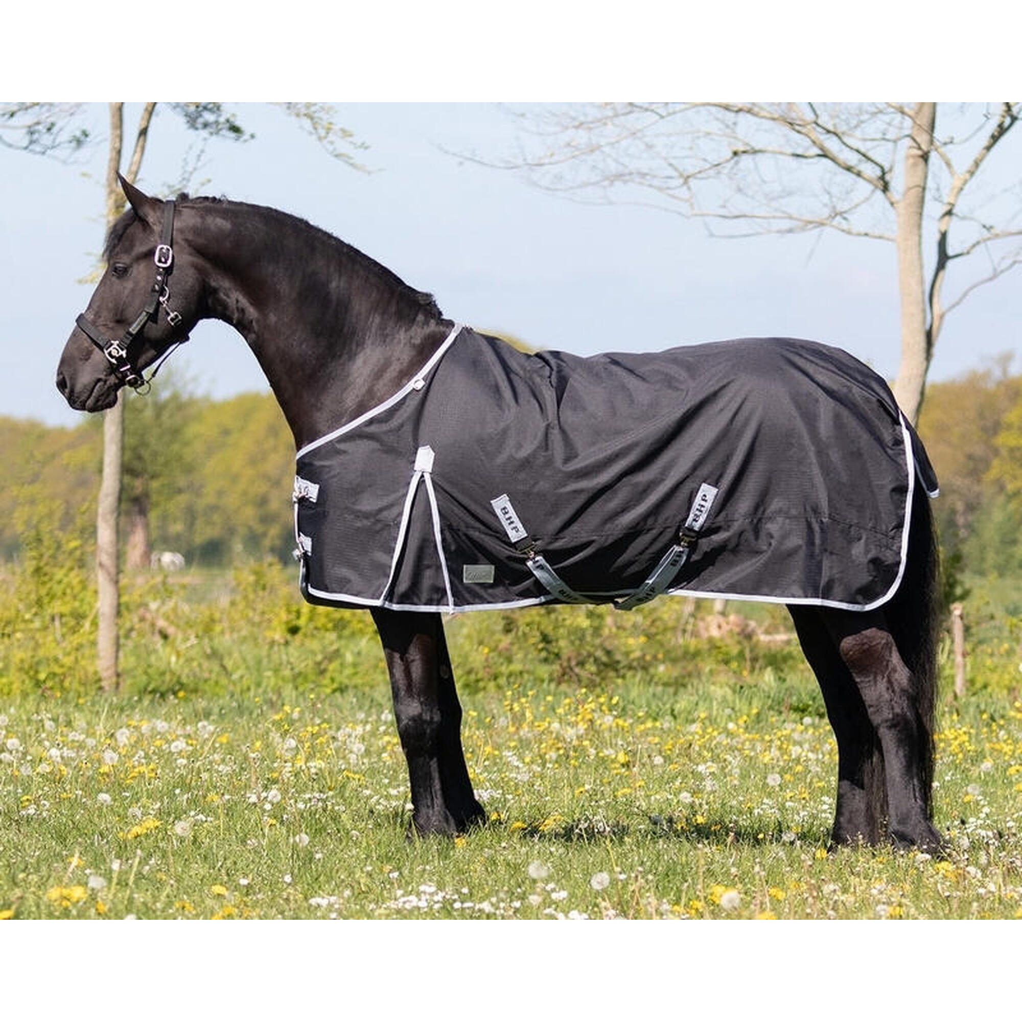 QHP Tappeto da esterno per cavalli dal collo grosso QHP 300g