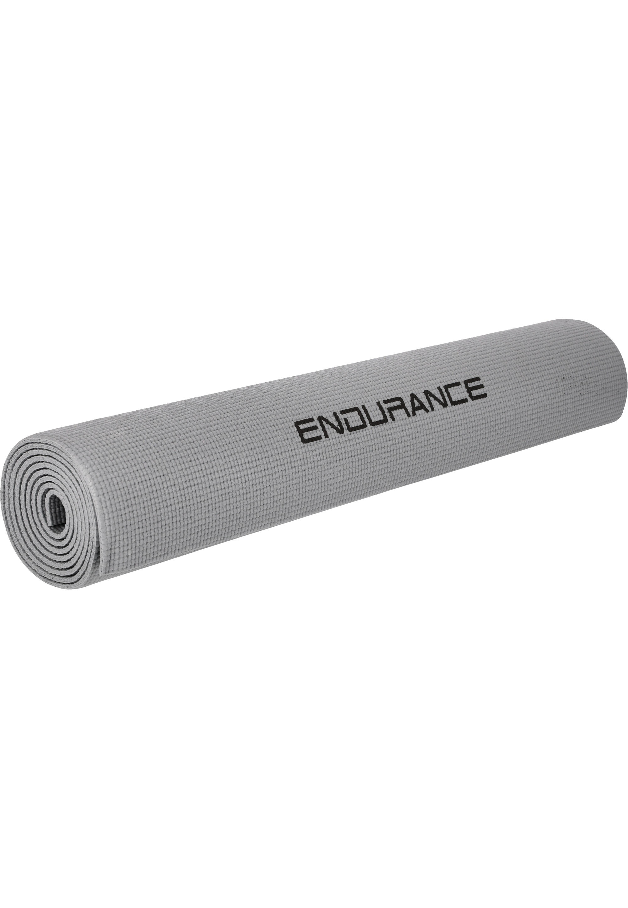ENDURANCE picture