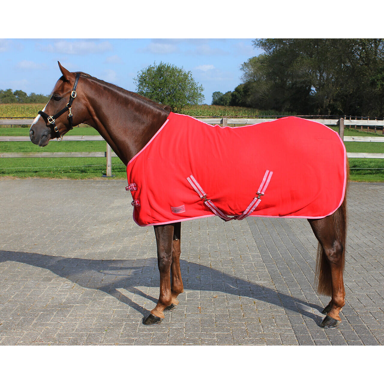 Qhp - Couverture Polaire Avec Sangles Q-essentials Color - Couverture Cheval - Rouge - 185 Cm - Decathlon