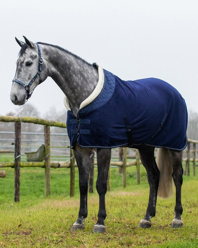 Couverture polaire pour cheval QHP Brilliance 2/4
