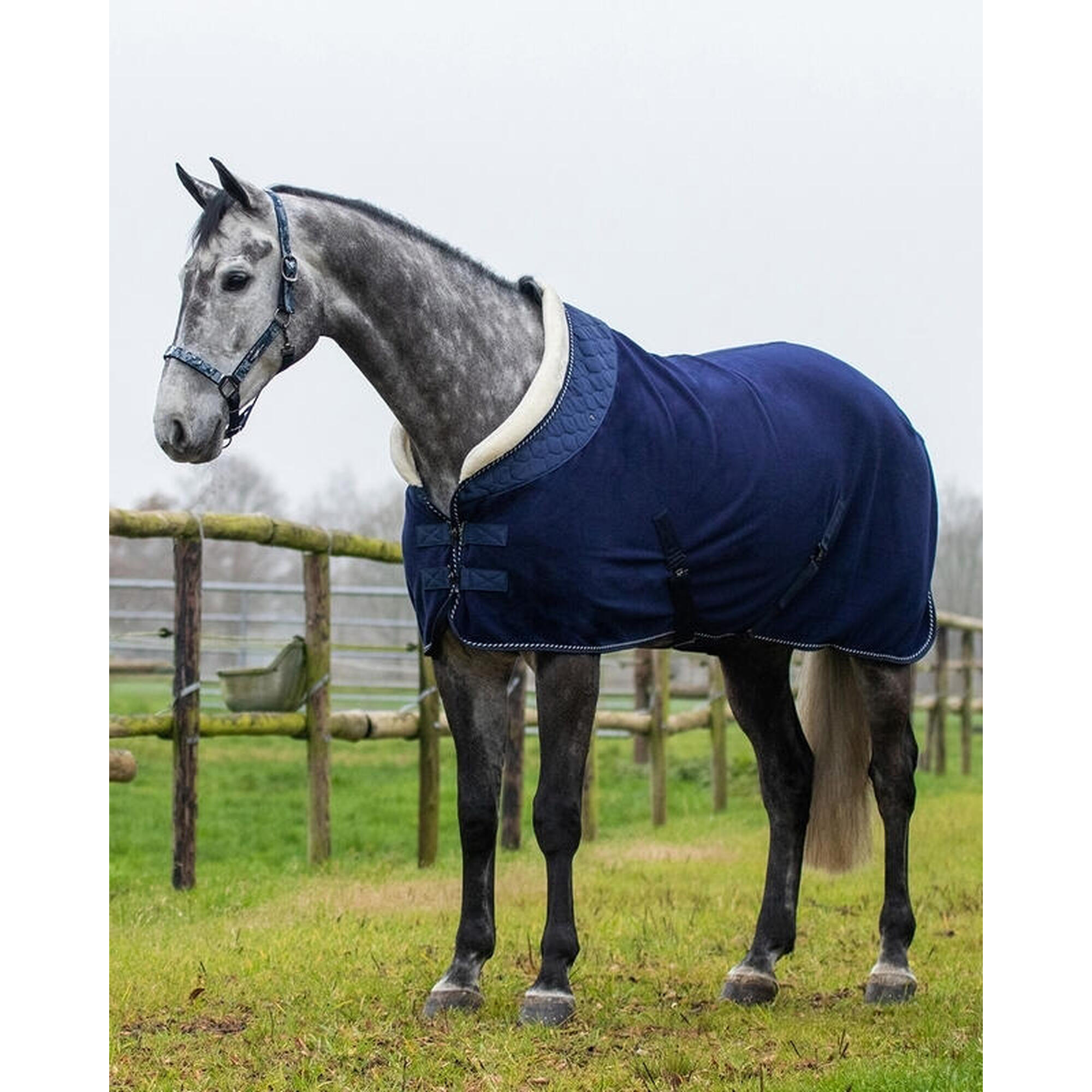 Horse fleece blanket QHP Brilliance