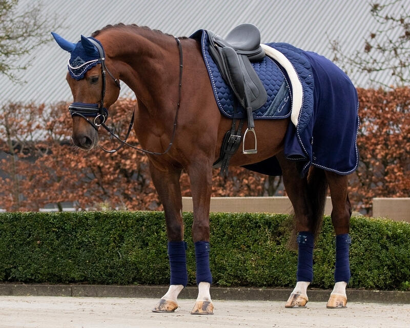 Couverture polaire pour cheval QHP Brilliance 3/4
