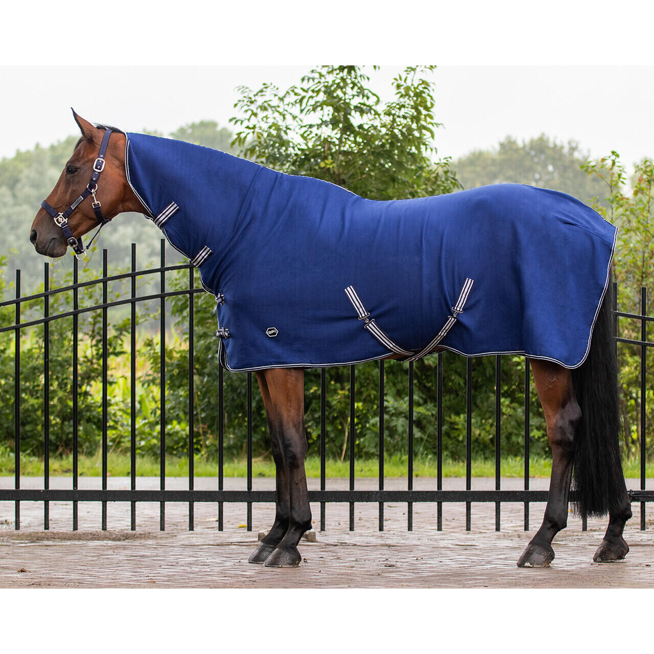 Qhp - Couverture Polaire Avec Couvre-cou Et Sangles Q-essentials Basic - Couverture Cheval - Bleu - 155 Cm - Decathlon