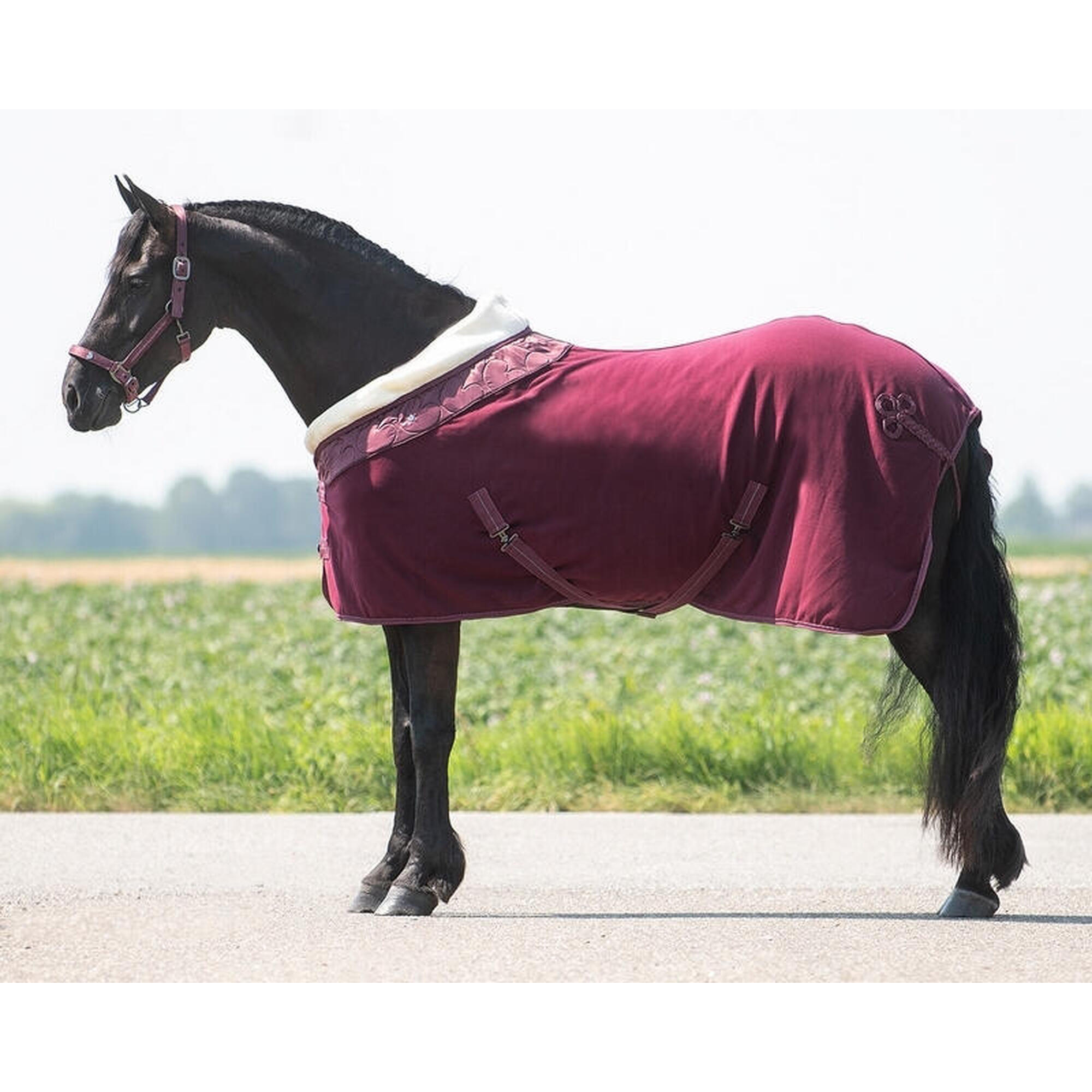 Fleece deken QHP Lily