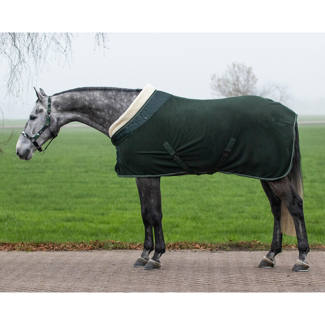 Qhp - Couverture Polaire Qhp Brilliance - Couverture Cheval - Vert - 165 Cm - Decathlon