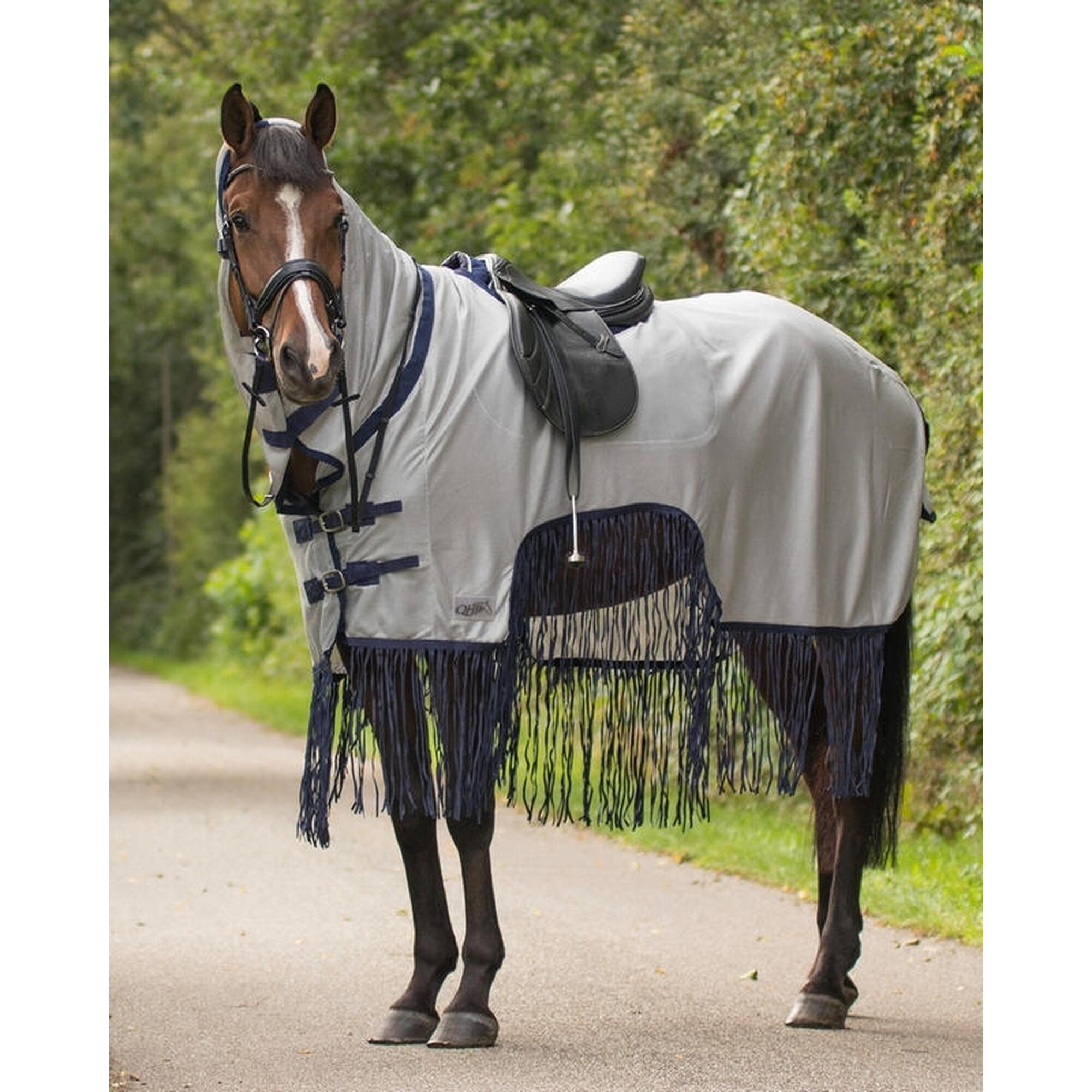 Horse fly rug with bangs QHP