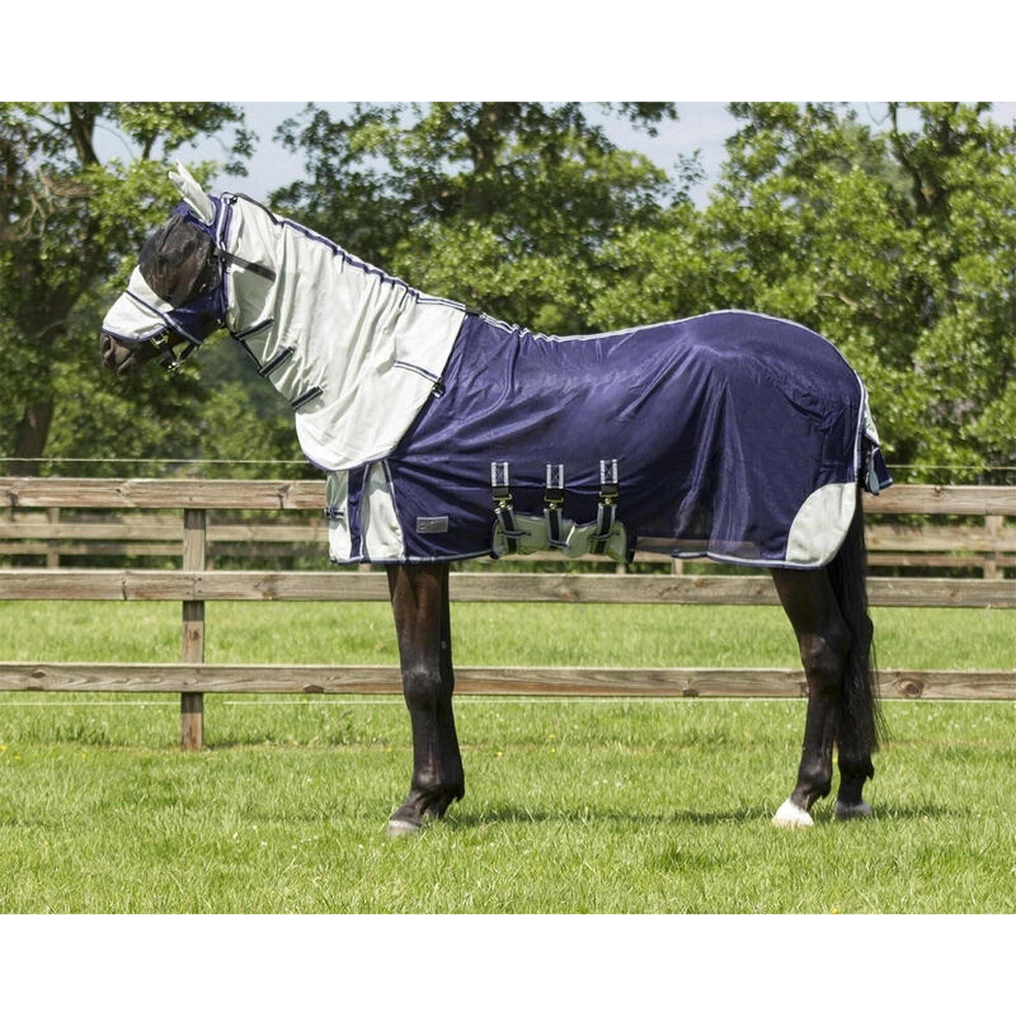 Qhp - Couverture Anti Mouche Avec Couvre-cou Et Bonnet Pour Cheval Qhp - Couverture Cheval - Bleu - 215 Cm - Decathlon